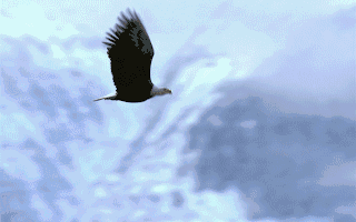 概念动态绿地控股新增“新型城镇化”概念